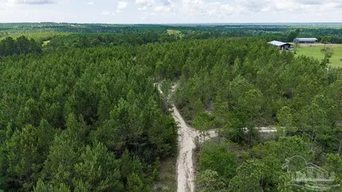 30 Acres Treetop Ridge Dr, Pace, FL 32571 photo 13