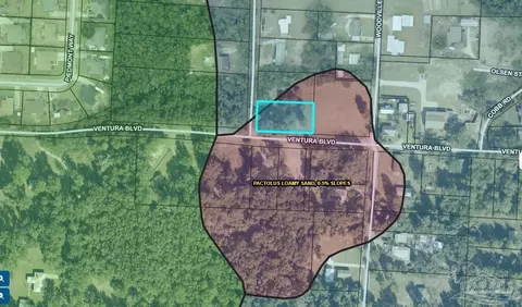 tbd Leavins St, Milton, FL 32583 photo 3