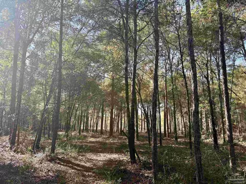 Adams Rd, Crestview, FL 32536 photo 2