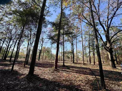 Adams Rd, Crestview, FL 32536 photo 4