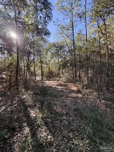 Adams Rd, Crestview, FL 32536 photo 3