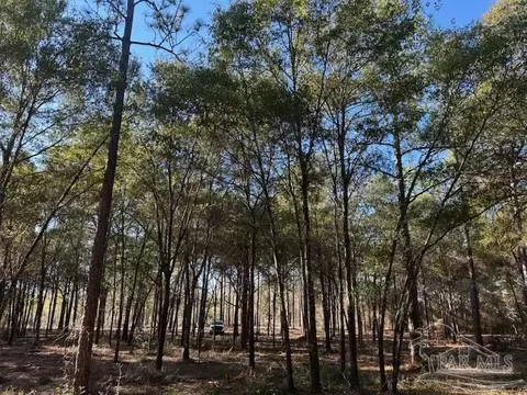Adams Rd, Crestview, FL 32536 photo 5