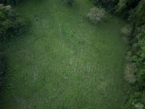 6701 Camp Henderson Rd, Jay, FL 32565 photo 8