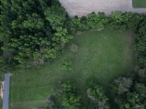 6701 Camp Henderson Rd, Jay, FL 32565 photo 6