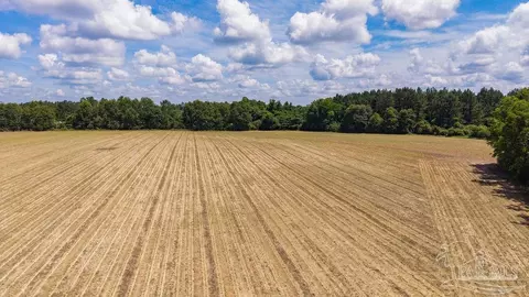 2732 Hwy 4, Jay, FL 32565 photo 7