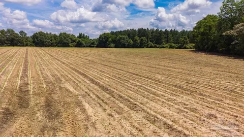 2732 Hwy 4, Jay, FL 32565 photo 8