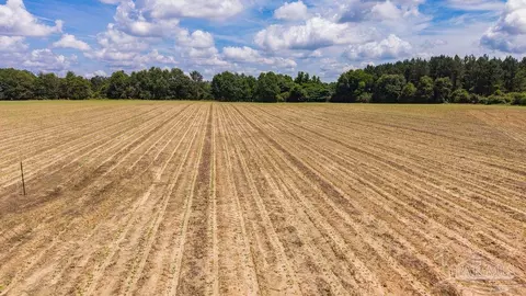 2732 Hwy 4, Jay, FL 32565 photo 3