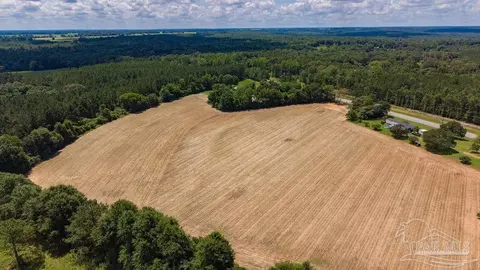 2732 Hwy 4, Jay, FL 32565 photo 15