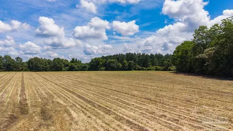 2732 Hwy 4, Jay, FL 32565 photo 13