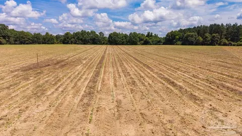 2732 Hwy 4, Jay, FL 32565 photo 16