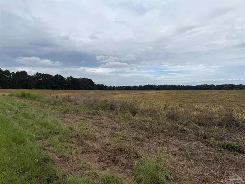 7600 Block Bratt Rd, Century, FL 32535