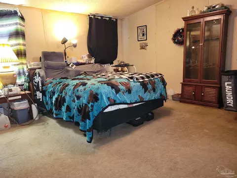 2542 Purdue Rd, Mcdavid, FL 32568 photo 15