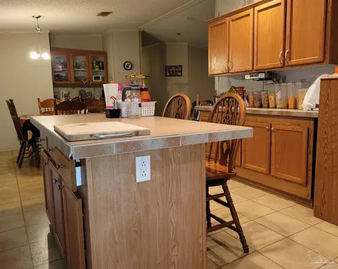 2542 Purdue Rd, Mcdavid, FL 32568 photo 11