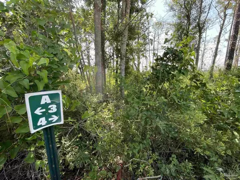 1200 Cuddle Doon Ave, Milton, FL 32583 photo 3
