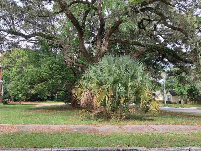 1000 N Blk N Palafox, Pensacola, FL 32501