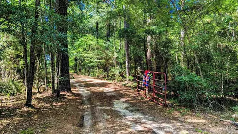 136 Jones Dr, Millry, AL 36558 photo 71