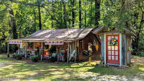 136 Jones Dr, Millry, AL 36558 photo 44