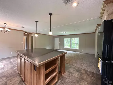 6506 Daniel Griffis Rd, Jay, FL 32565 photo 10