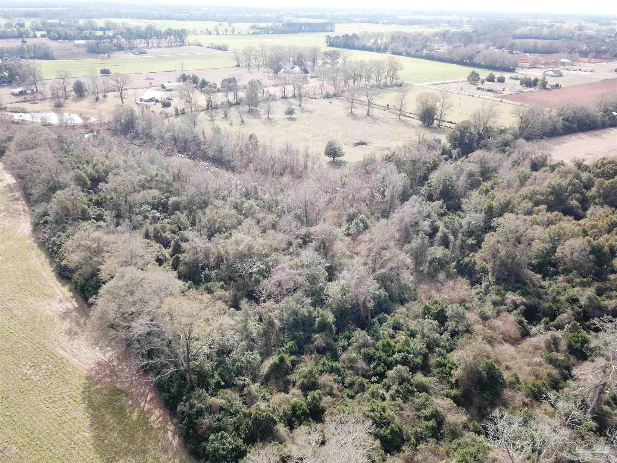 lot2 Hwy 4, Jay, FL 32565 photo 2