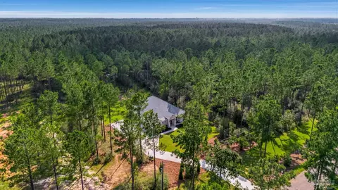 View/Area - 8879 Naturewalk Dr, Jay, FL 32565 photo 4 of 6