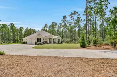 Exterior - 8879 Naturewalk Dr, Jay, FL 32565 photo 11 of 16