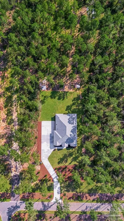 View/Area - 8879 Naturewalk Dr, Jay, FL 32565 photo 3 of 6