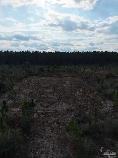 4320 Hwy 182, Jay, FL 32565 photo 3