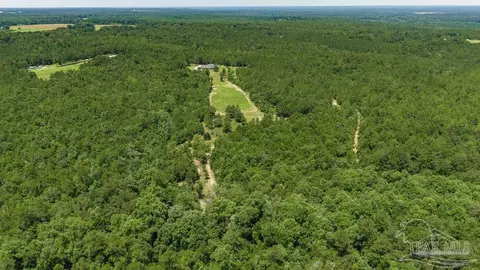 6382 Daniel Griffis Rd, Jay, FL 32565 photo 56