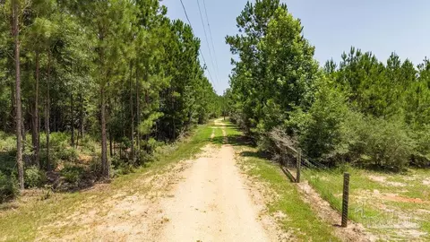 6382 Daniel Griffis Rd, Jay, FL 32565 photo 38