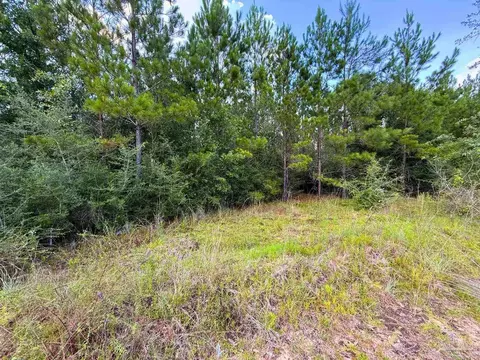 lot23 Buffalo Ridge Rd, Pace, FL 32571 photo 10