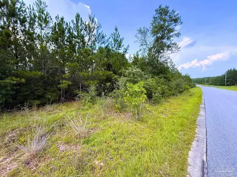 lot23 Buffalo Ridge Rd, Pace, FL 32571 photo 7