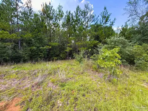 lot23 Buffalo Ridge Rd, Pace, FL 32571 photo 9