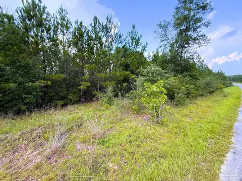 lot23 Buffalo Ridge Rd, Pace, FL 32571 photo 8
