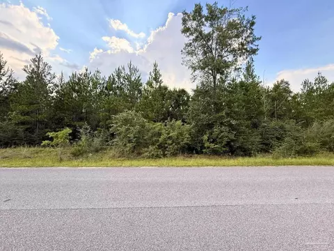 lot23 Buffalo Ridge Rd, Pace, FL 32571 photo 3
