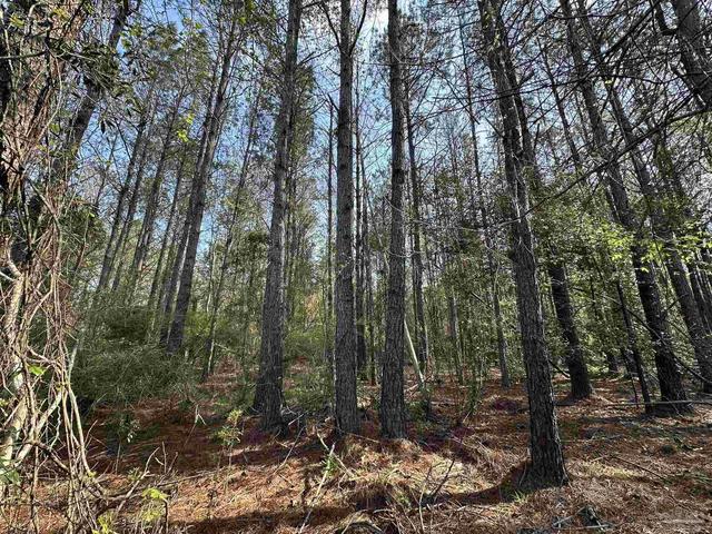 1 1 Ac Snider Rd, Frisco City, AL 36445