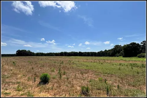 9150 Three Hollow Rd, Jay, FL 32565 photo 10