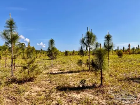 lot54 S Timber Ln, Jay, FL 32565 photo 8