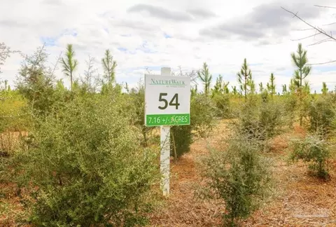 lot54 S Timber Ln, Jay, FL 32565