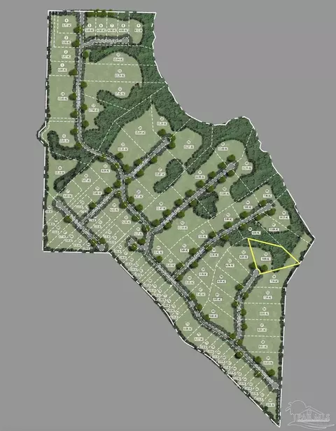 lot54 S Timber Ln, Jay, FL 32565 photo 3