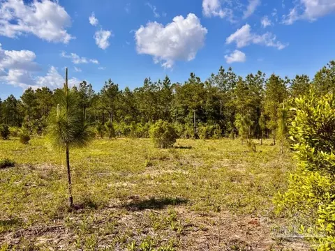lot54 S Timber Ln, Jay, FL 32565 photo 6