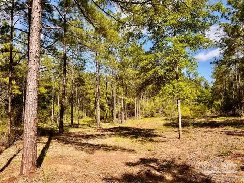 lot54 S Timber Ln, Jay, FL 32565 photo 10