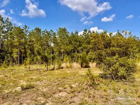 lot54 S Timber Ln, Jay, FL 32565 photo 7