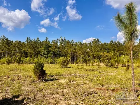 lot54 S Timber Ln, Jay, FL 32565 photo 5