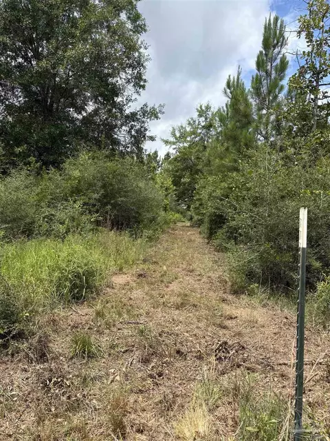 2800 Blk Velor Rd, Mcdavid, FL 32568 photo 1