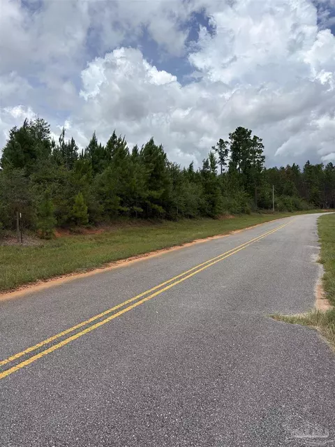 2800 Blk Velor Rd, Mcdavid, FL 32568 photo 10