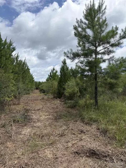 2800 Blk Velor Rd, Mcdavid, FL 32568 photo 8