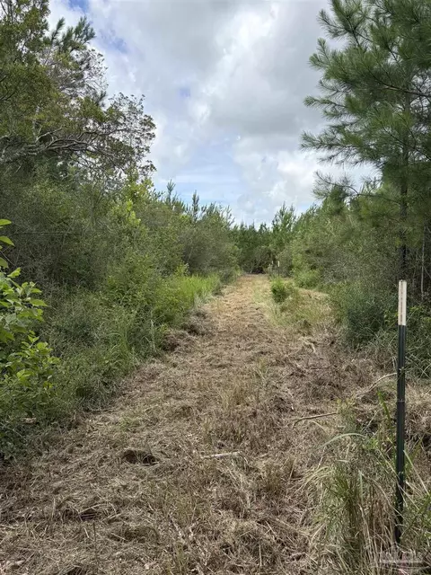2800 Blk Velor Rd, Mcdavid, FL 32568 photo 5