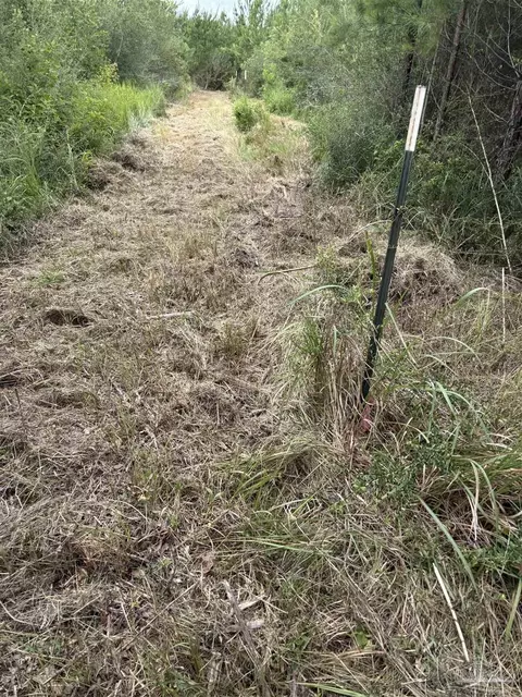 2800 Blk Velor Rd, Mcdavid, FL 32568 photo 6