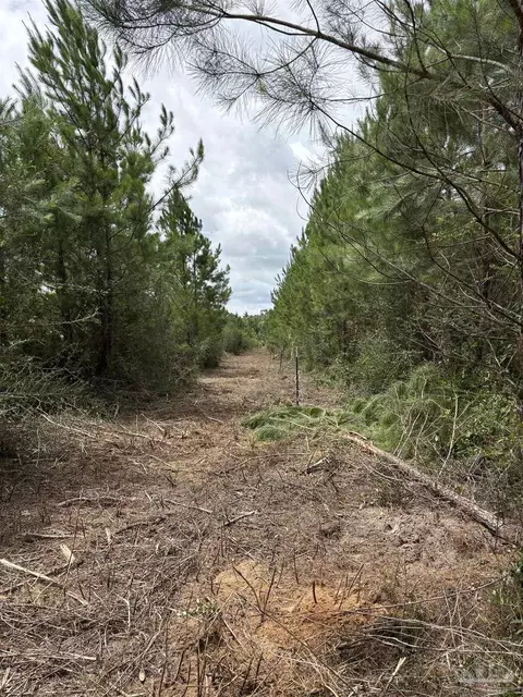 2800 Blk Velor Rd, Mcdavid, FL 32568 photo 7