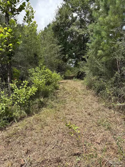 2800 Blk Velor Rd, Mcdavid, FL 32568 photo 3